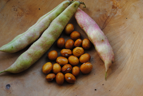Capriana