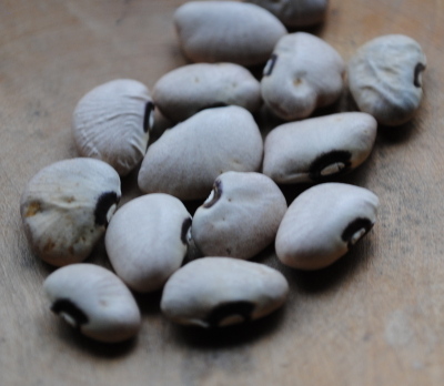 Alabama Black Eye Butter (Lima Bean)