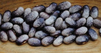 Rose Bean
