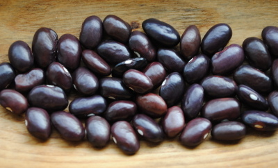 Tarahumara Dark Purple