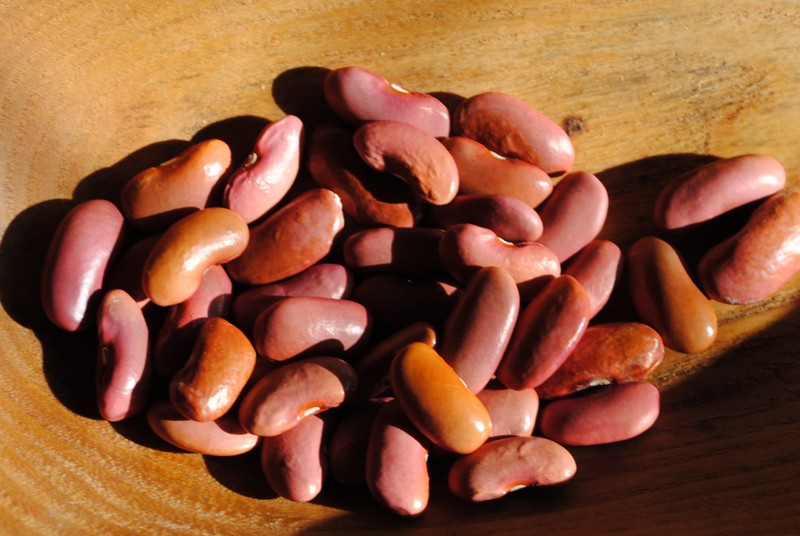 Rajama Indian Pink Bean