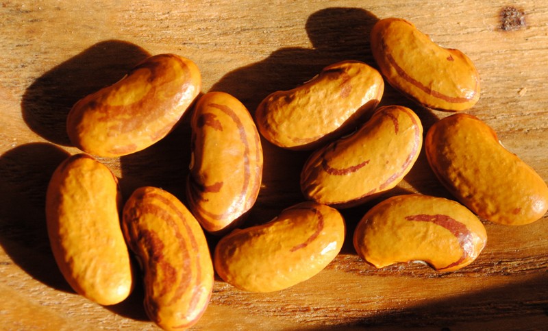 Pepa De Zaballo