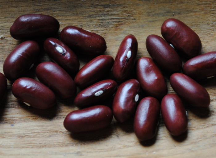 Rognon De Coq