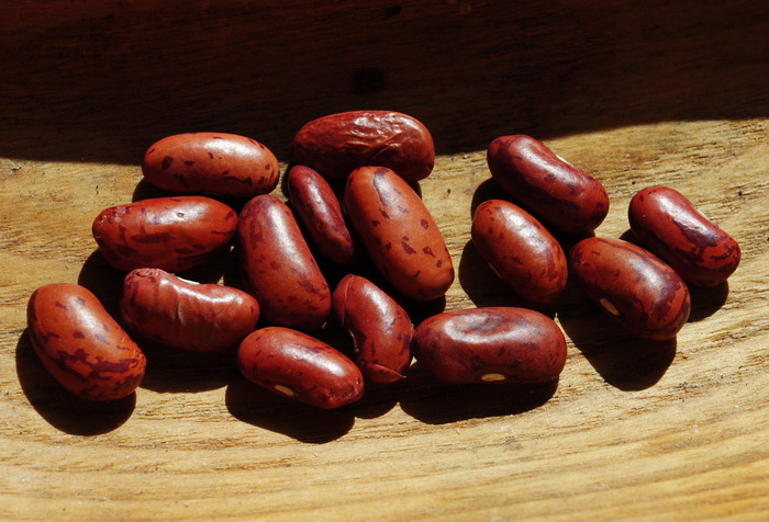 Nepalese Kidney beans