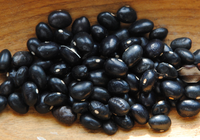 Meraviglia Di Venezia Grano Nero Rampicante Mangiatutto