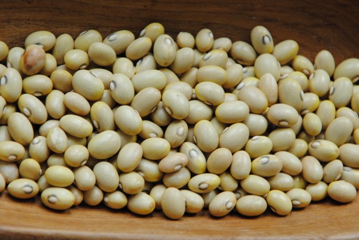 Hutterite