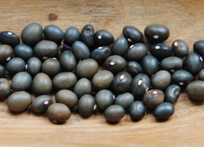 Fort Portal Jade