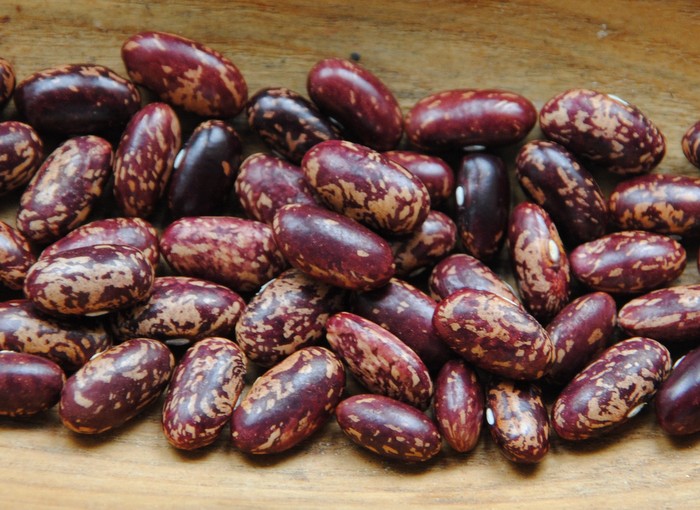Bamberger Rote