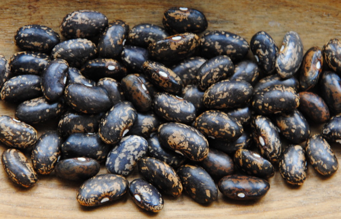 Schwarzkrizzel