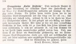 Kaiser Friedrich