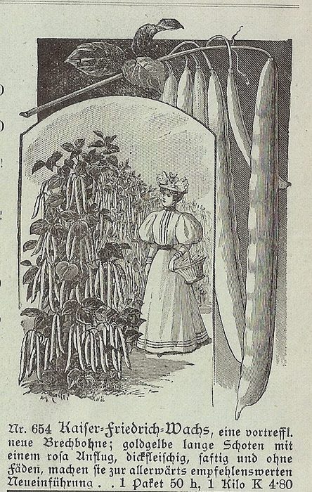 Kaiser Friedrich