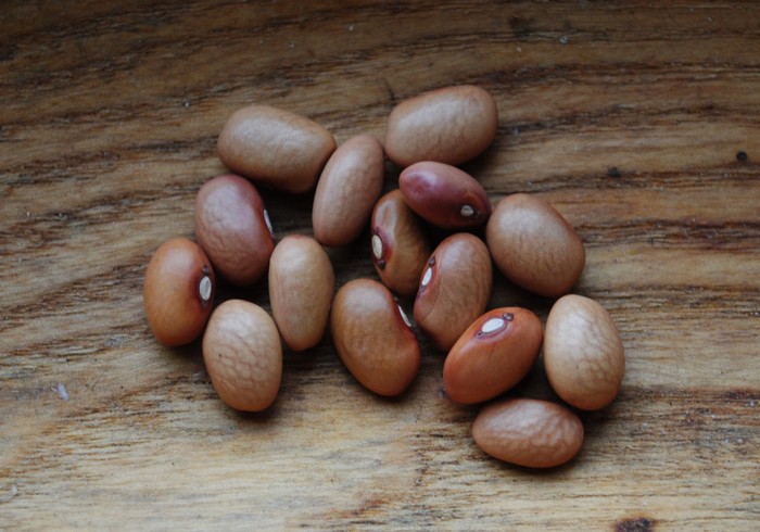 Vadito Bolita