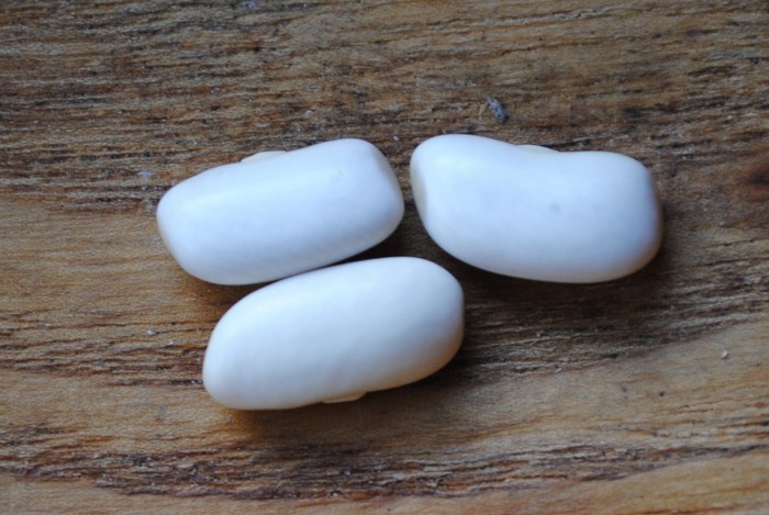 Cannellino