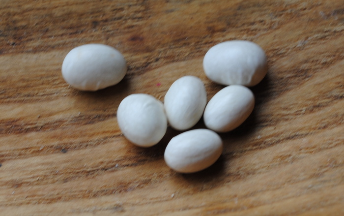 White Marrow Fat