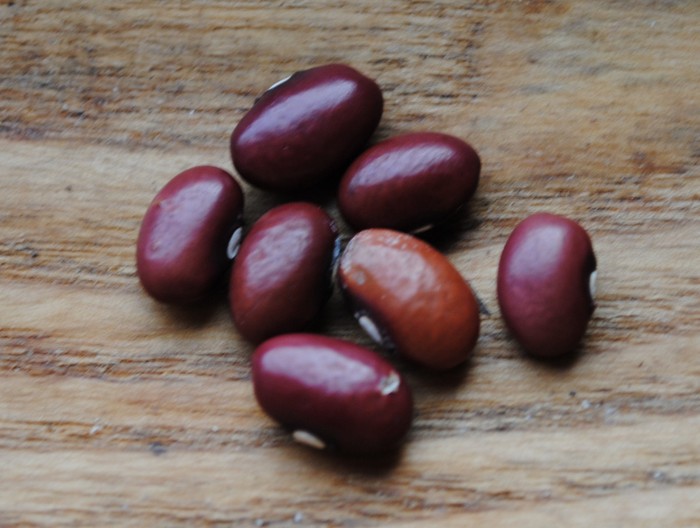 Dove Creek Red