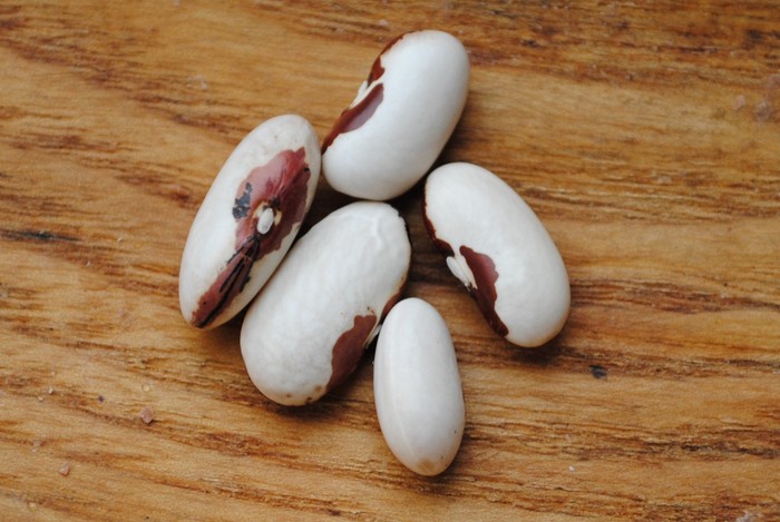 Cosaruciaru