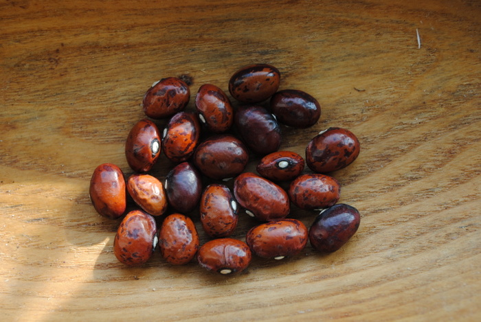 Speckled Cranberry