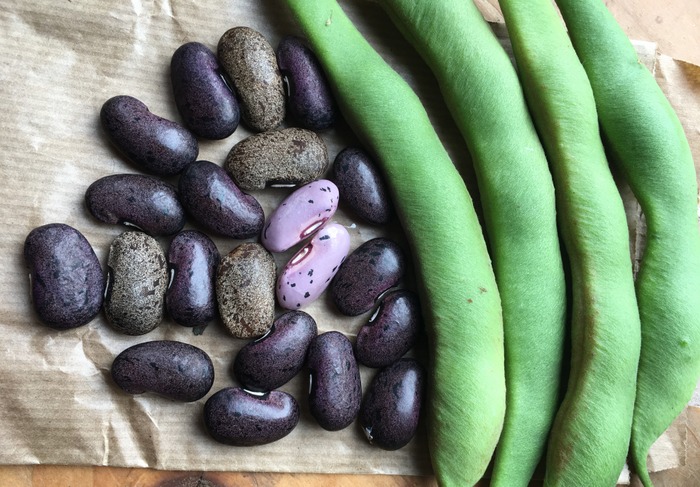 Tucomares Mix
