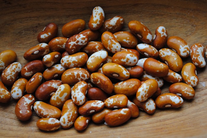 Humla