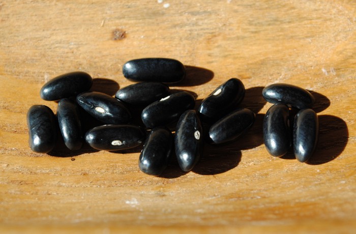 Pencil Pod Black Wax