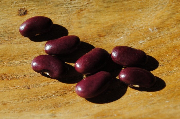 Peruvian Dark Purple