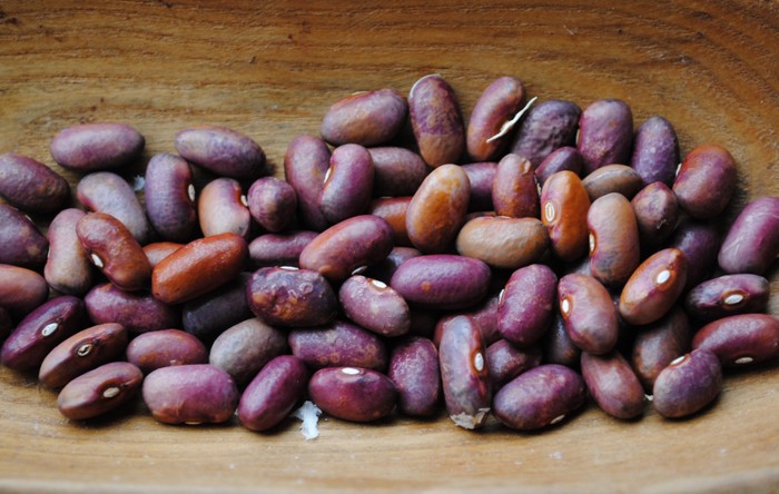 Tiranas Rotviolette #1506
