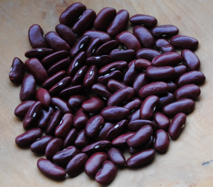 Red Kidney