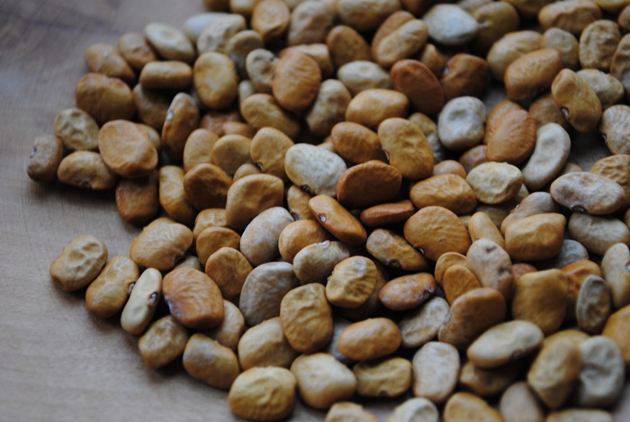 Sacaton BrownTepary bean