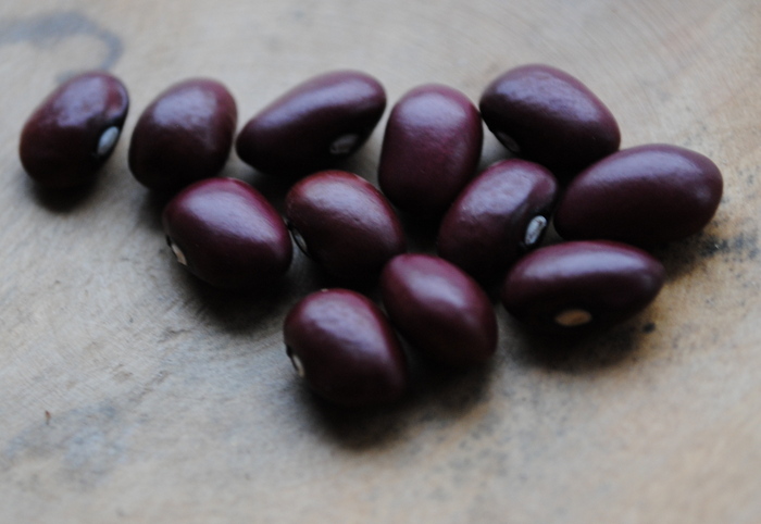 Rote Montezuma