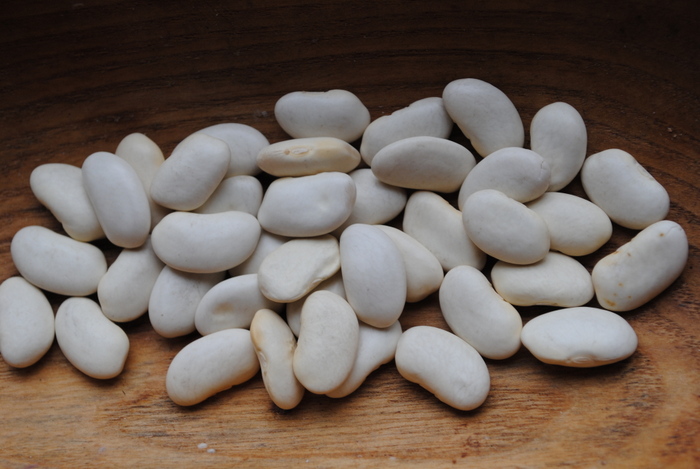 Erzincan Large