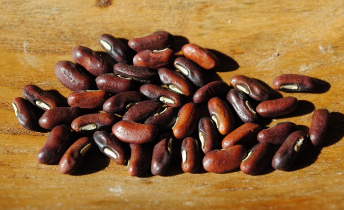 Red Seed