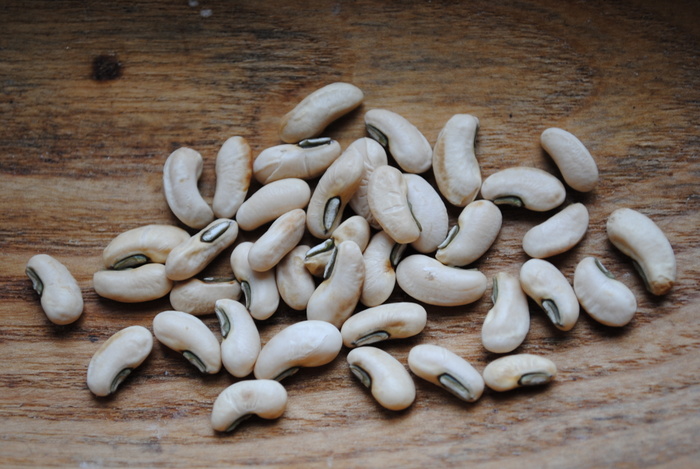 White Seed