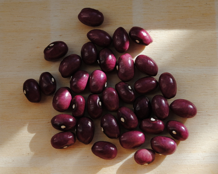 Chriesistei (Kirschkern)