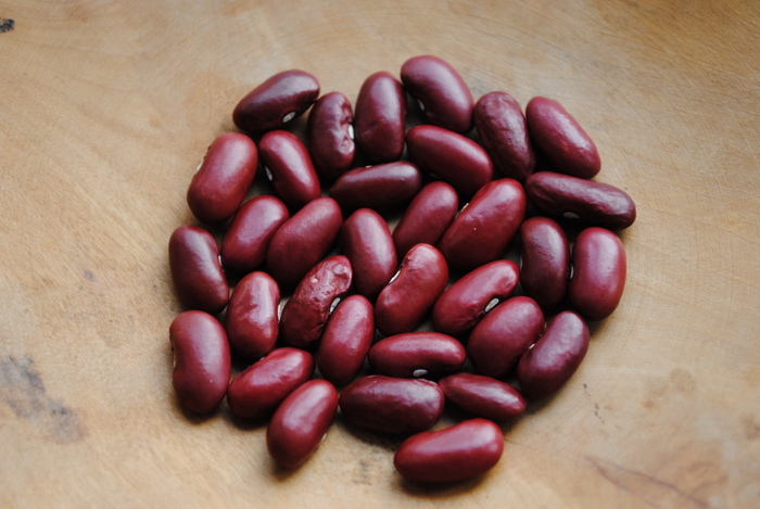 Peruvian Kidney