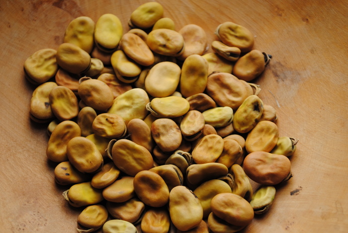 Lantos