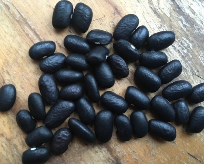 Mitla Black