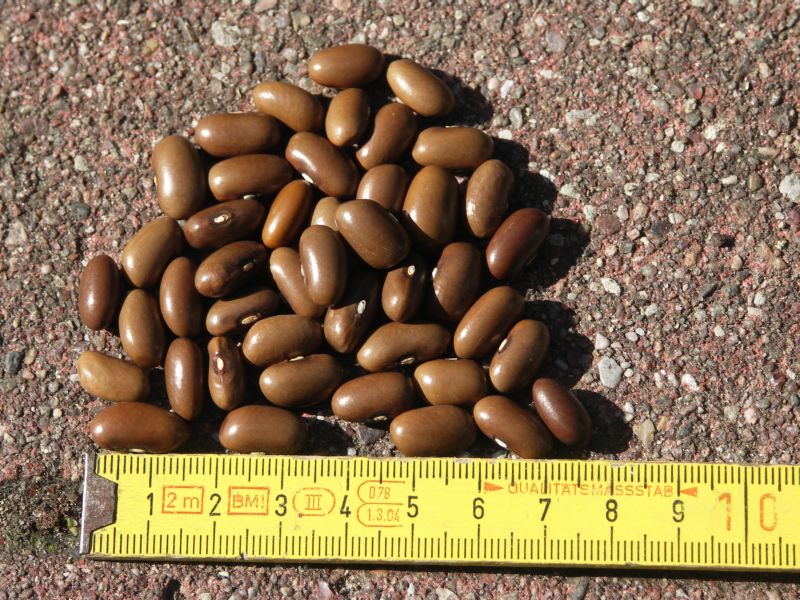 Mooreskraft