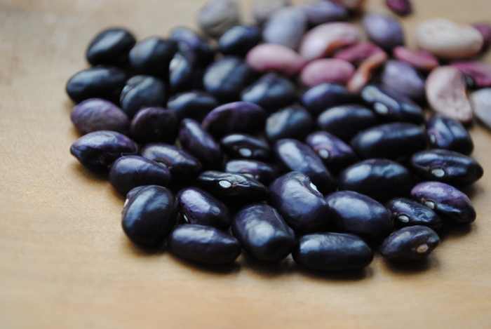 Tarahumara Dark Purple