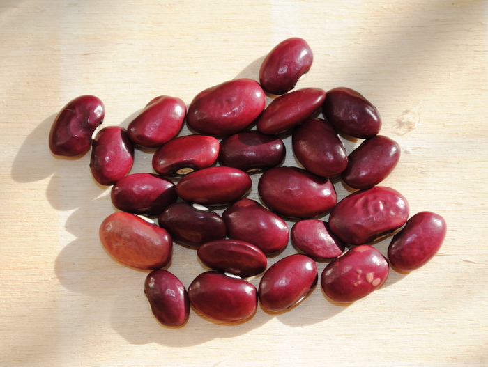 Kashmir Thin Skin Bean