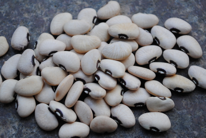 Alabama Black Eye Butter (Lima Bean)