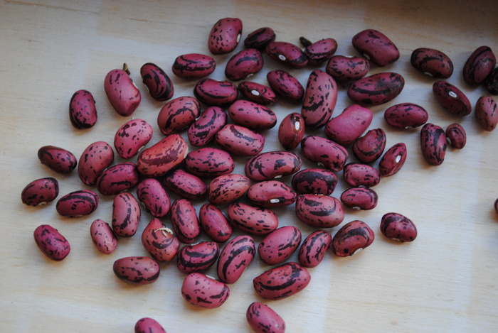 Vermont Cranberry