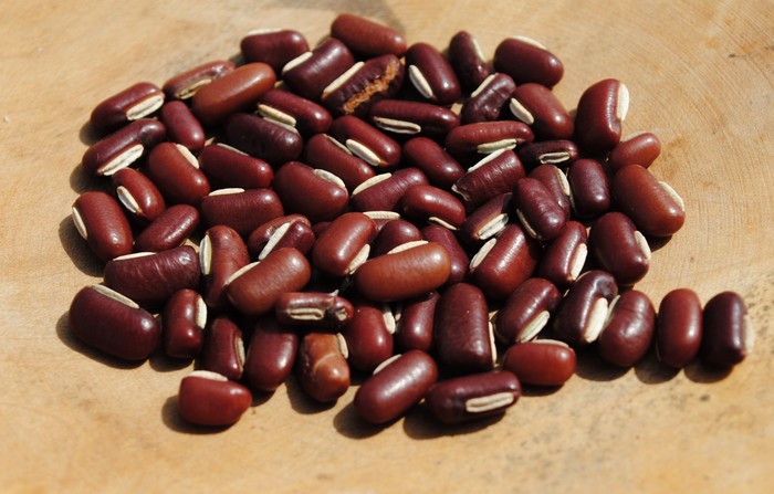 Red Rice  (Vigna umbellata)