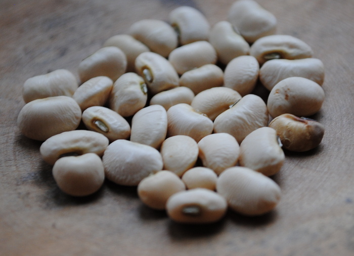 Green Eyed Pea (Cowpea-Vigna unguiculata)