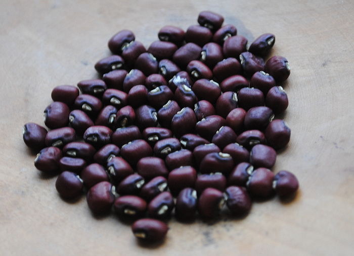 Haricot Rouge (Cowpea-Vigna unguiculata)