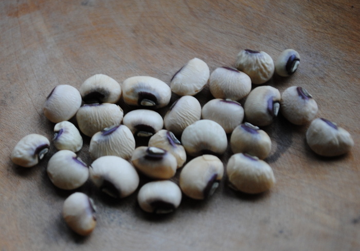 Purple Hull Pinkeye  (Cowpea-Vigna unguiculata)