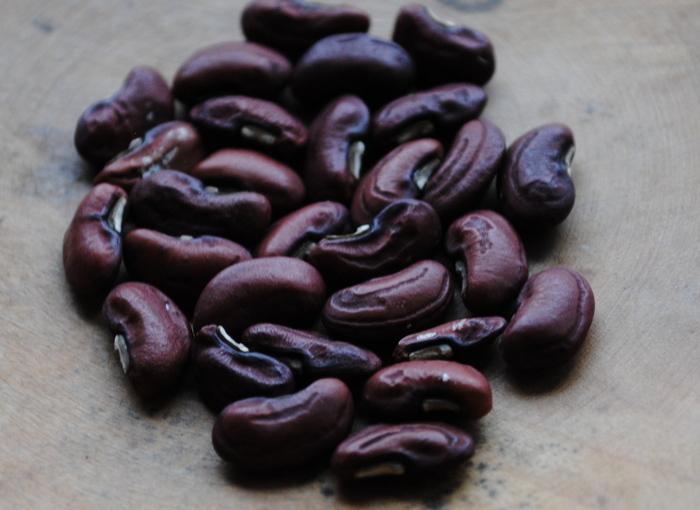 Thai Purple Poddet (Spargelbohne)