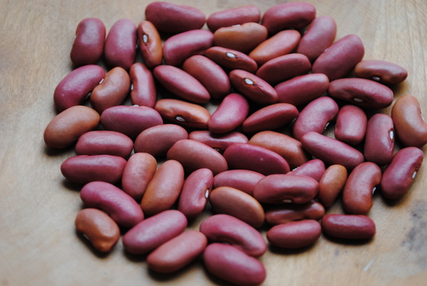 Rajama Indian Pink Bean