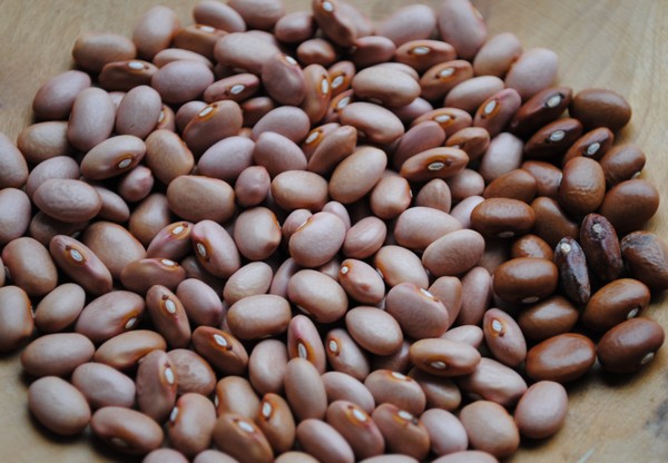 Red Peanut