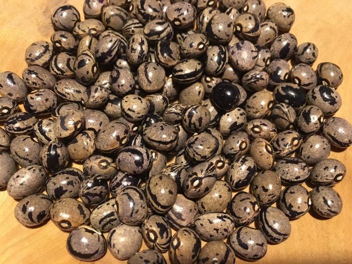 Kartoffelbohne