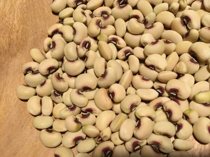 Purple Hull Pinkeye  (Cowpea-Vigna unguiculata)